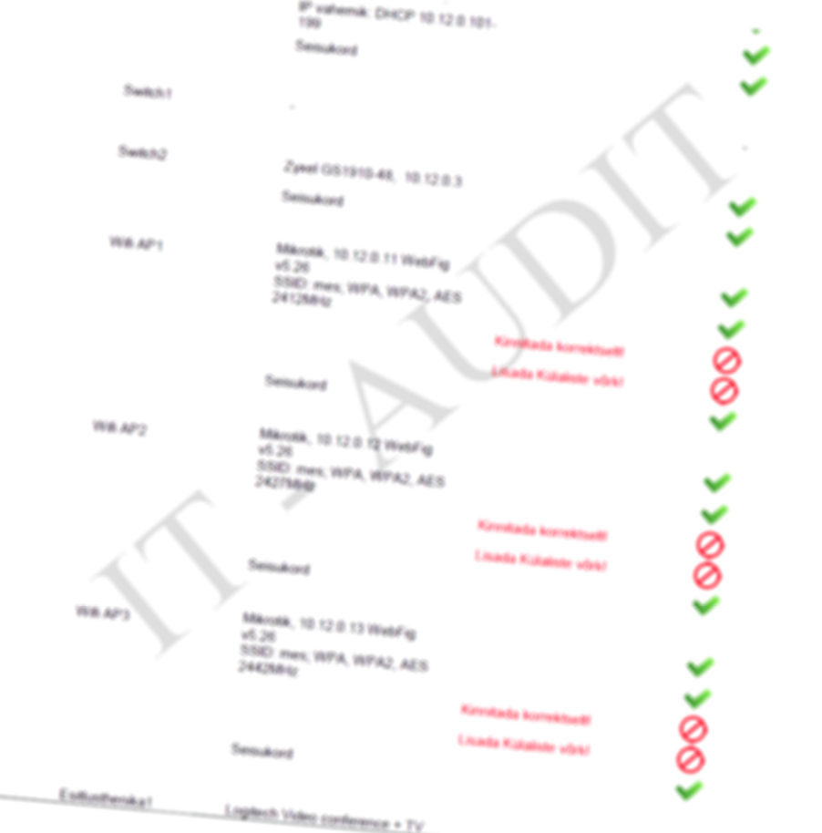 IT-audit